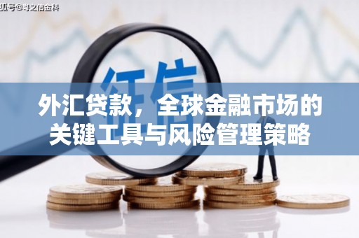 大余外汇贷款，全球金融市场的关键工具与风险管理策略