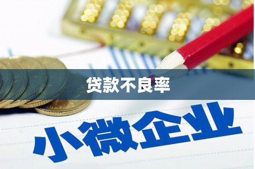 大余贷款不良率