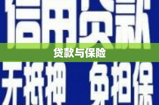 大余贷款与保险
