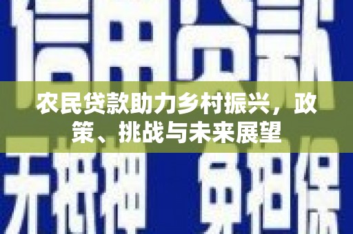 大余农民贷款助力乡村振兴，政策、挑战与未来展望