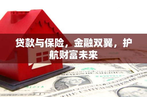 大余贷款与保险，金融双翼，护航财富未来
