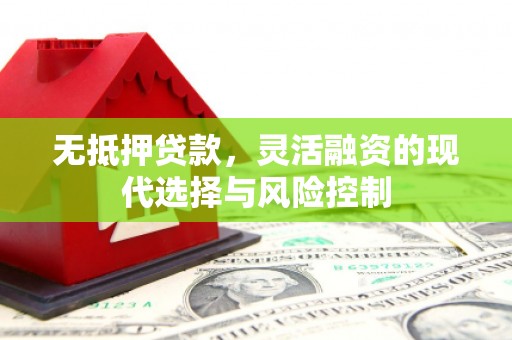 大余无抵押贷款，灵活融资的现代选择与风险控制
