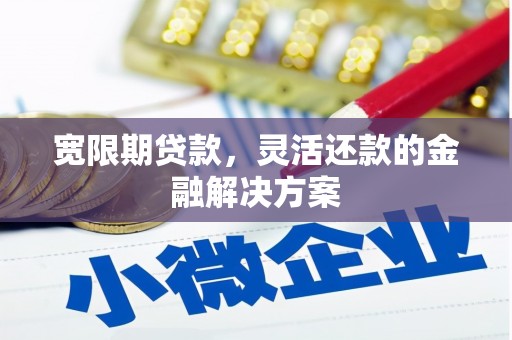大余宽限期贷款，灵活还款的金融解决方案
