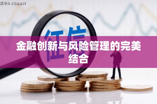 大余金融创新与风险管理的完美结合
