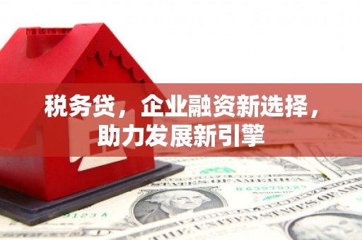 大余税务贷，企业融资新选择，助力发展新引擎