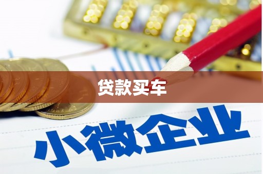 大余贷款买车