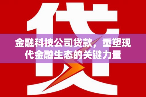 大余金融科技公司贷款，重塑现代金融生态的关键力量