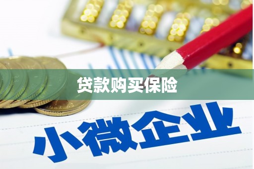 大余贷款购买保险