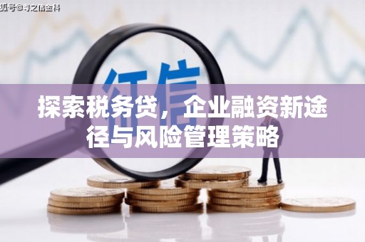 大余探索税务贷，企业融资新途径与风险管理策略