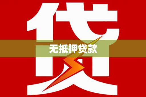 大余无抵押贷款