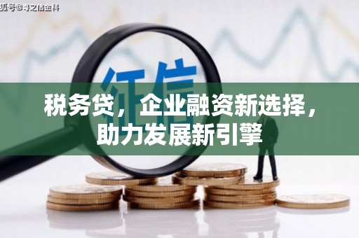 大余税务贷，企业融资新选择，助力发展新引擎