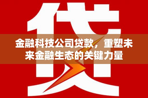 大余金融科技公司贷款，重塑未来金融生态的关键力量