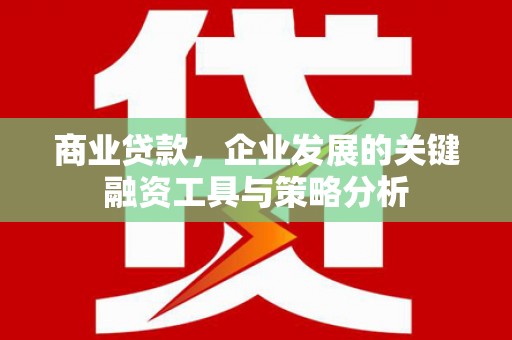 大余商业贷款，企业发展的关键融资工具与策略分析