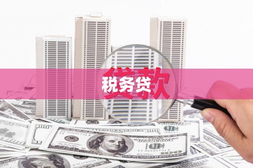 大余税务贷