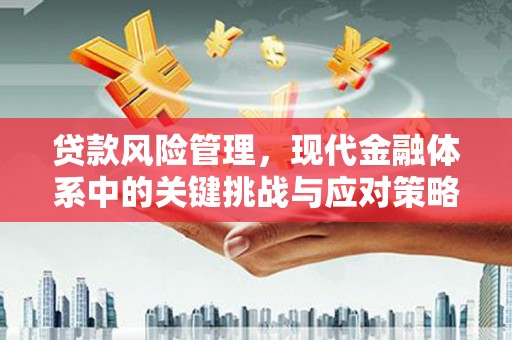 大余贷款风险管理，现代金融体系中的关键挑战与应对策略