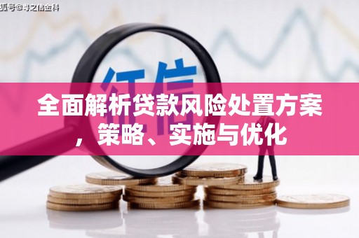 大余全面解析贷款风险处置方案，策略、实施与优化