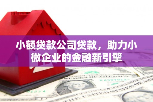 大余小额贷款公司贷款，助力小微企业的金融新引擎