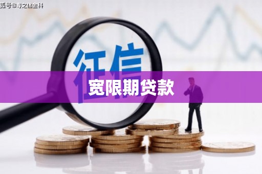 大余宽限期贷款