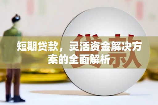 大余短期贷款，灵活资金解决方案的全面解析