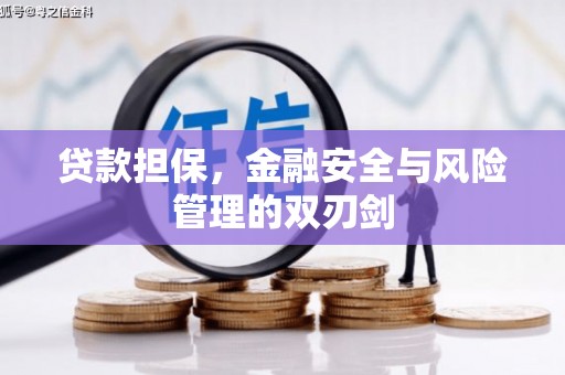 大余贷款担保，金融安全与风险管理的双刃剑