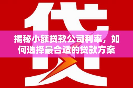 大余揭秘小额贷款公司利率，如何选择最合适的贷款方案