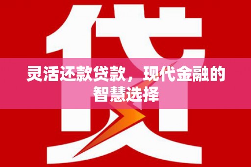 大余灵活还款贷款，现代金融的智慧选择