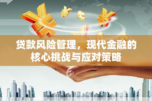 大余贷款风险管理，现代金融的核心挑战与应对策略