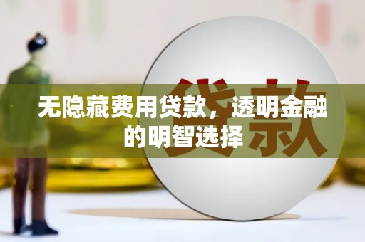 大余无隐藏费用贷款，透明金融的明智选择