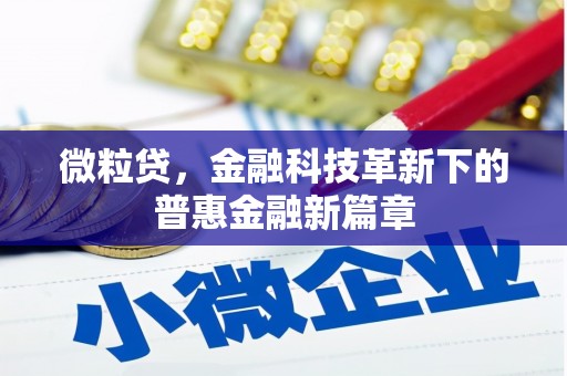 大余微粒贷，金融科技革新下的普惠金融新篇章