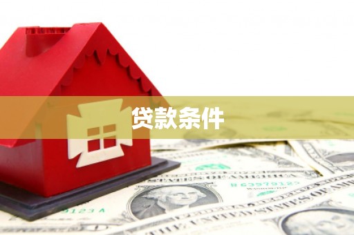 大余贷款条件