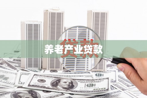 大余养老产业贷款