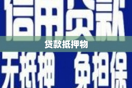 大余贷款抵押物