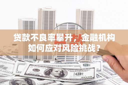 大余贷款不良率攀升，金融机构如何应对风险挑战？
