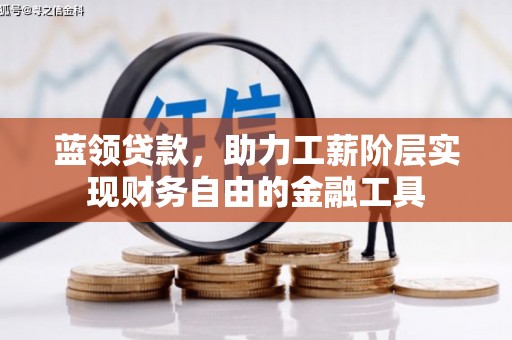 大余蓝领贷款，助力工薪阶层实现财务自由的金融工具
