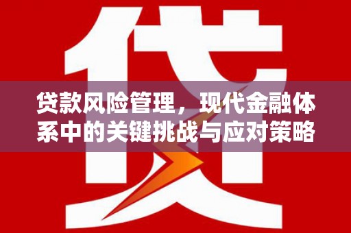 大余贷款风险管理，现代金融体系中的关键挑战与应对策略