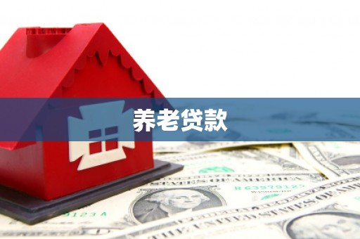 大余养老贷款