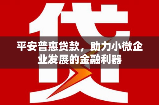 大余平安普惠贷款，助力小微企业发展的金融利器