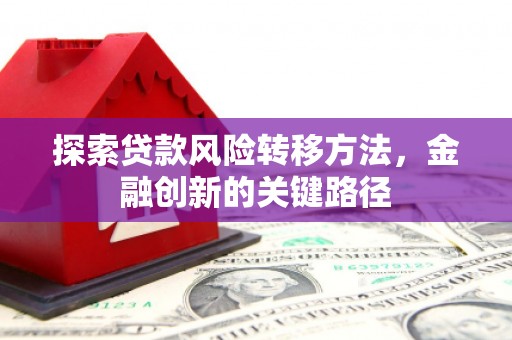 大余探索贷款风险转移方法，金融创新的关键路径