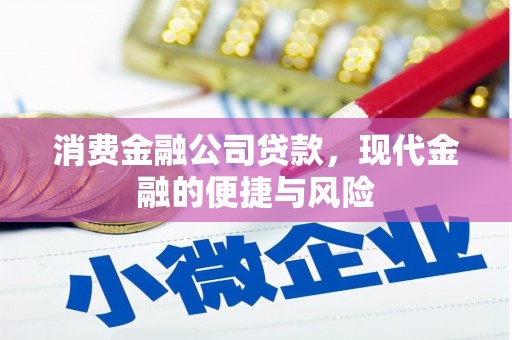 大余消费金融公司贷款，现代金融的便捷与风险