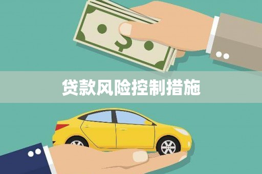 大余贷款风险控制措施