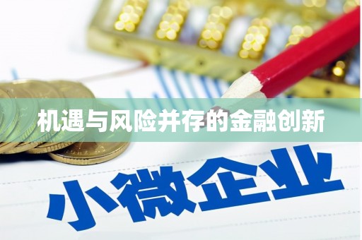 大余机遇与风险并存的金融创新