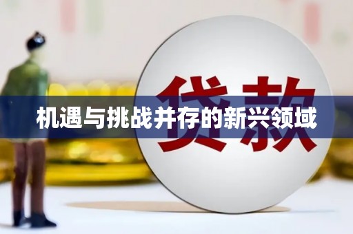 大余机遇与挑战并存的新兴领域