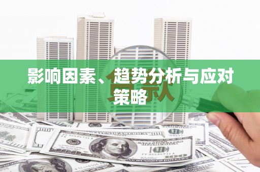 大余影响因素、趋势分析与应对策略
