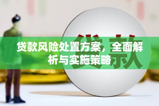 大余贷款风险处置方案，全面解析与实施策略