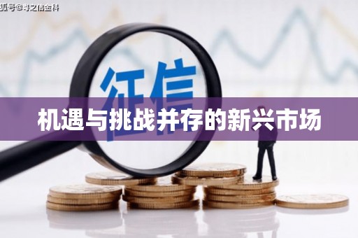 大余机遇与挑战并存的新兴市场