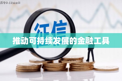大余推动可持续发展的金融工具