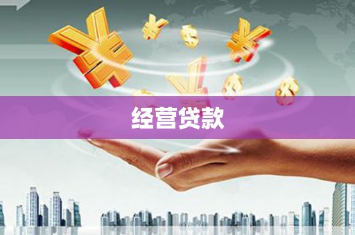 大余经营贷款
