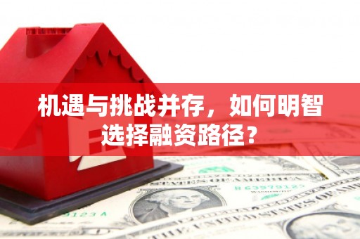 大余机遇与挑战并存，如何明智选择融资路径？