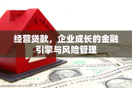 大余经营贷款，企业成长的金融引擎与风险管理