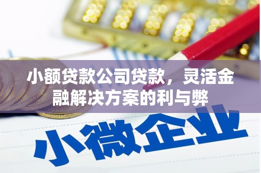大余小额贷款公司贷款，灵活金融解决方案的利与弊